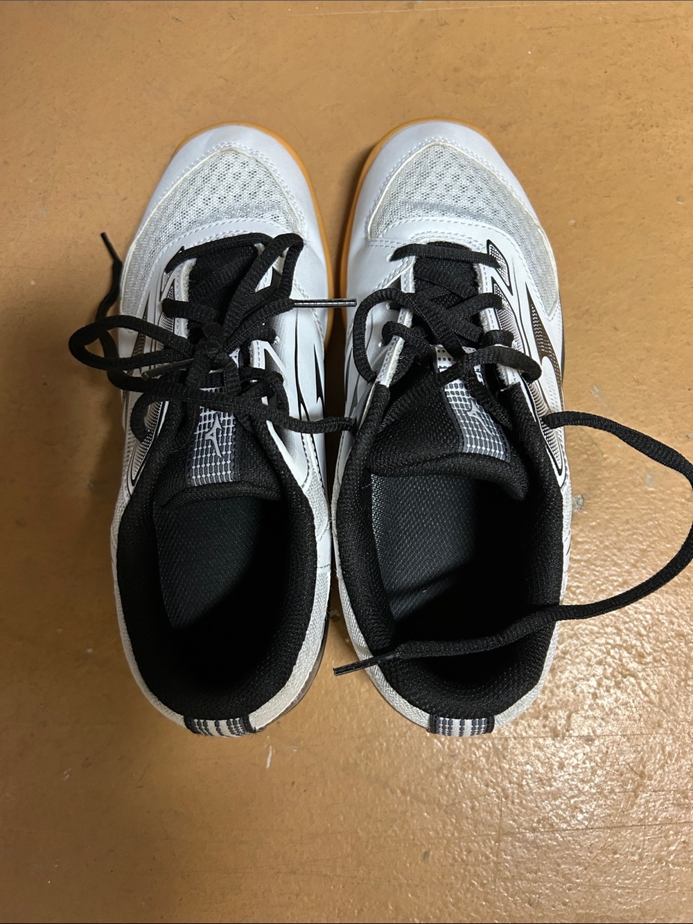 Mizuno Volleyball shoes